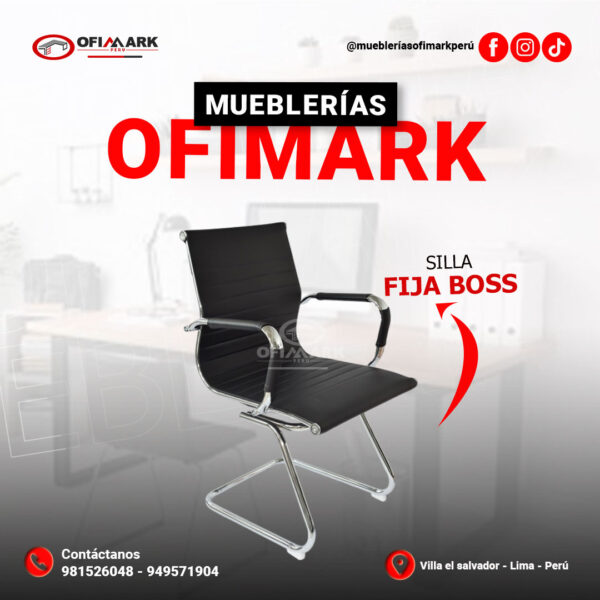 Silla Fija Boss - Imagen 2