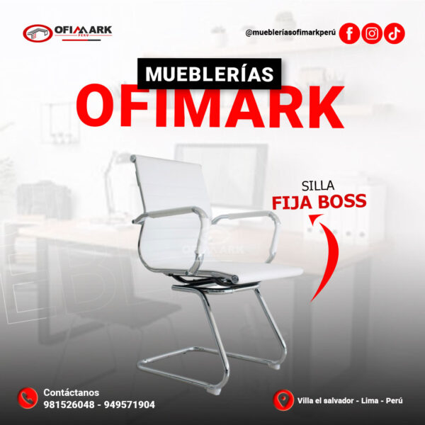 Silla Fija Boss - Imagen 3